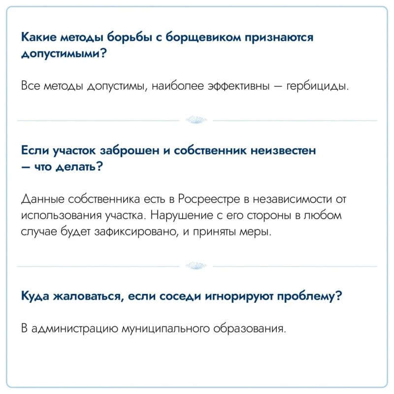 В Подмосковье в 2026 году от борщевика обработано 11,5 тысячи га земель В Подмосковье в 2026 году от борщевика обработано 11,5 тысячи га земель