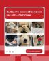 Вы точно не робот?. Обнаружена подозрительная спортивная активность