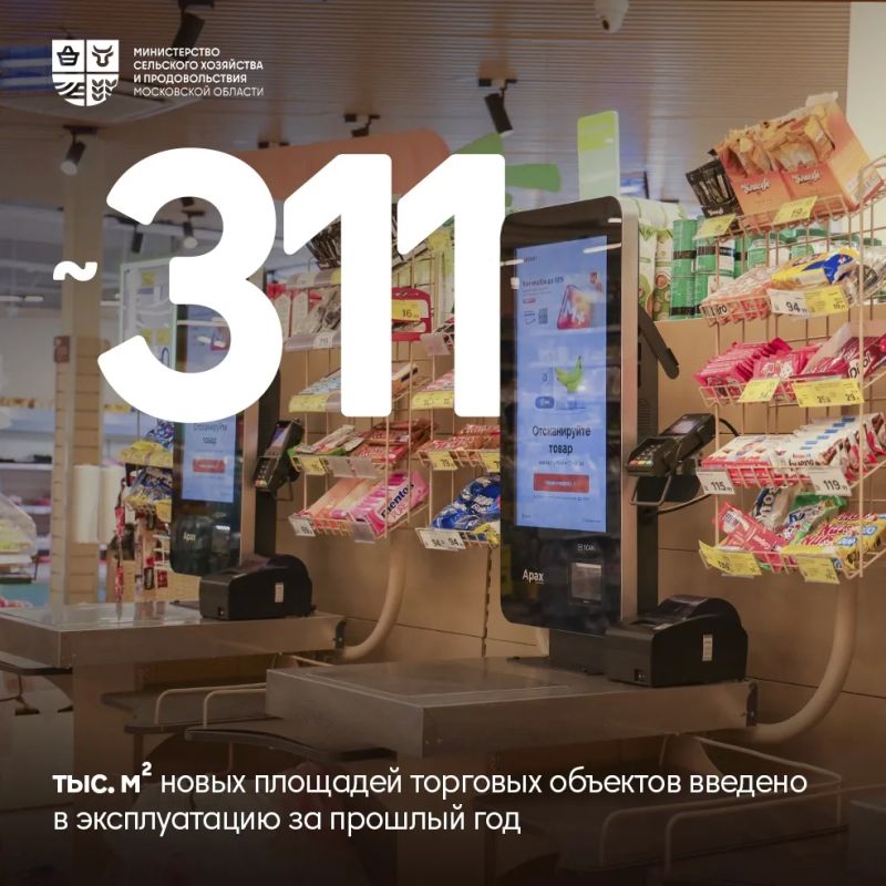 Профессионализм, забота и улыбка: в торговле Подмосковья важен каждый! Профессионализм, забота и улыбка: в торговле Подмосковья важен каждый!