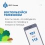 Заблудился в лесу? Главное, не паниковать
