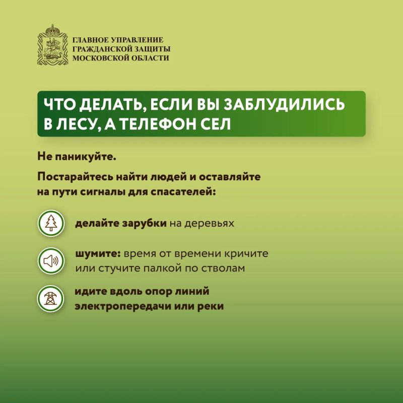 Безопасность в лесу: что нужно знать Безопасность в лесу: что нужно знать