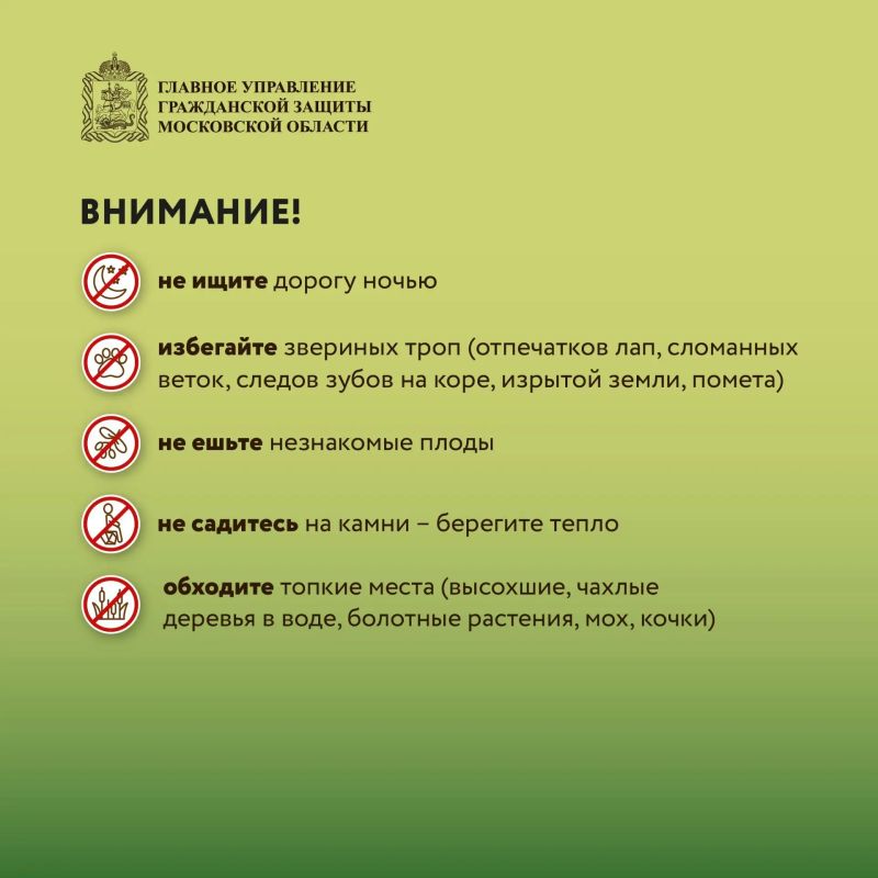 Безопасность в лесу: что нужно знать Безопасность в лесу: что нужно знать