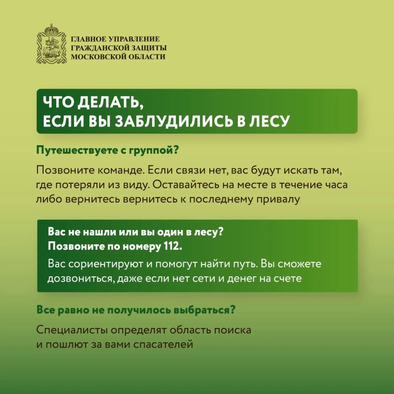 Безопасность в лесу: что нужно знать Безопасность в лесу: что нужно знать