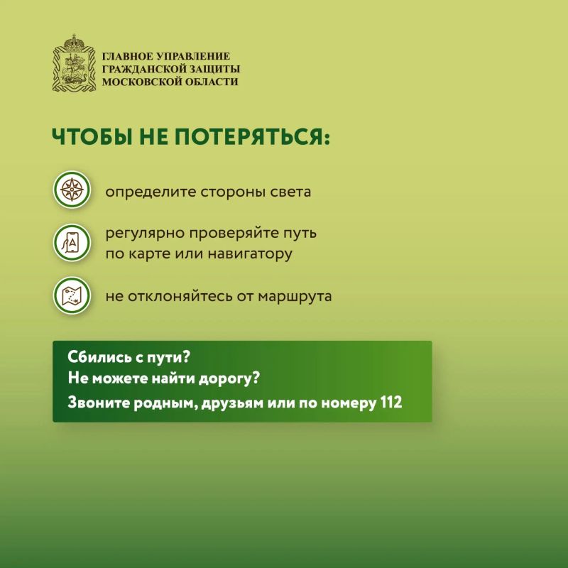 Безопасность в лесу: что нужно знать Безопасность в лесу: что нужно знать