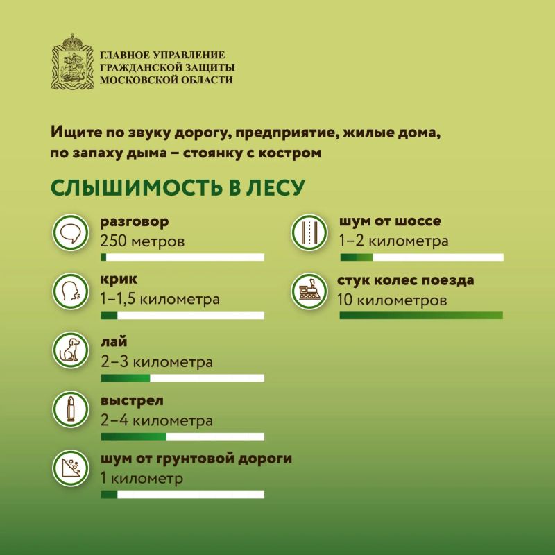 Безопасность в лесу: что нужно знать Безопасность в лесу: что нужно знать