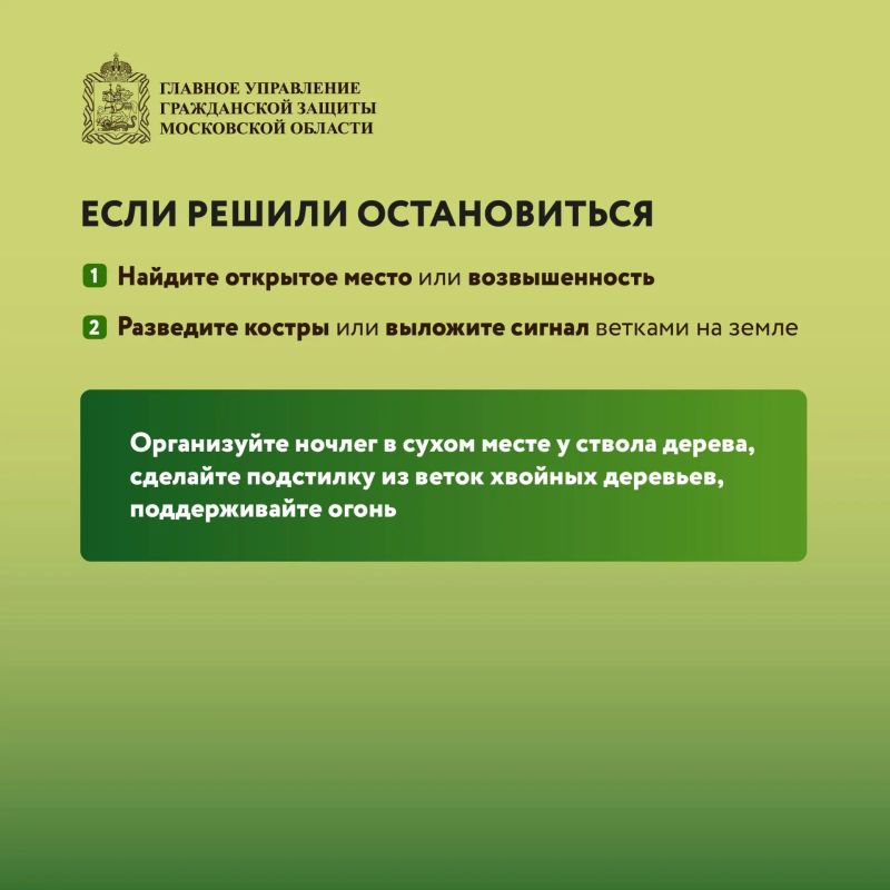 Безопасность в лесу: что нужно знать Безопасность в лесу: что нужно знать