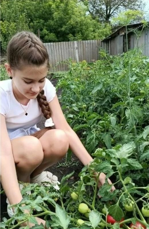 Завершился приём заявок на Всероссийский творческий конкурс «Зерно будущего», организаторами которого выступают АО «Россельхозбанк» и Фонд «Сколково» Завершился приём заявок на Всероссийский творческий конкурс «Зерно будущего», организаторами которого выступают АО «Россельхозбанк» и Фонд «Сколково»