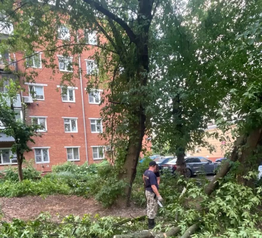 На улице Барамзиной в Подольске ведутся работы по распиловке и уборке упавших ветвей дерева