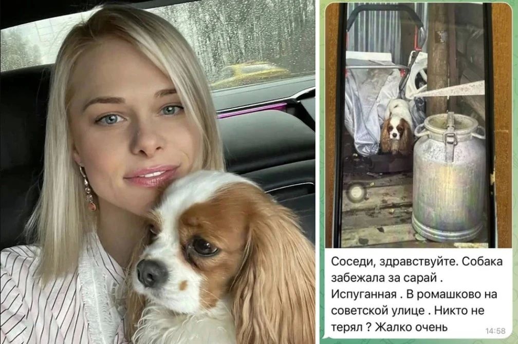 Начинающая телеведущая ушла гулять с собакой и исчезла в Подмосковье: тело Натальи Божук нашли в лесу