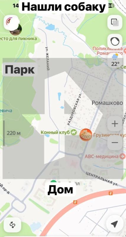 Смертельное исчезновение: спаниель привел волонтеров к телу хозяйки в подмосковном Ромашкове Смертельное исчезновение: спаниель привел волонтеров к телу хозяйки в подмосковном Ромашкове