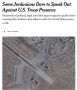 ПЛОДЫ СОЗРЕЛИ. Издание New York Times выпустило статью, согласно которой в Иордании начало расти недовольство присутствием американских военных баз в стране