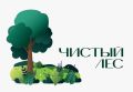 Уважаемые жители! Приглашаем вас сегодня, 31 июля, принять участие в экологической акции «Чистый лес»