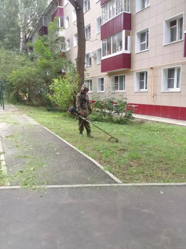 День в работе: МБУ «Чеховское благоустройство» на страже уюта и порядка! День в работе: МБУ «Чеховское благоустройство» на страже уюта и порядка!