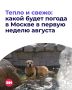 Первая неделя августа дарит столице по-настоящему летнюю погоду