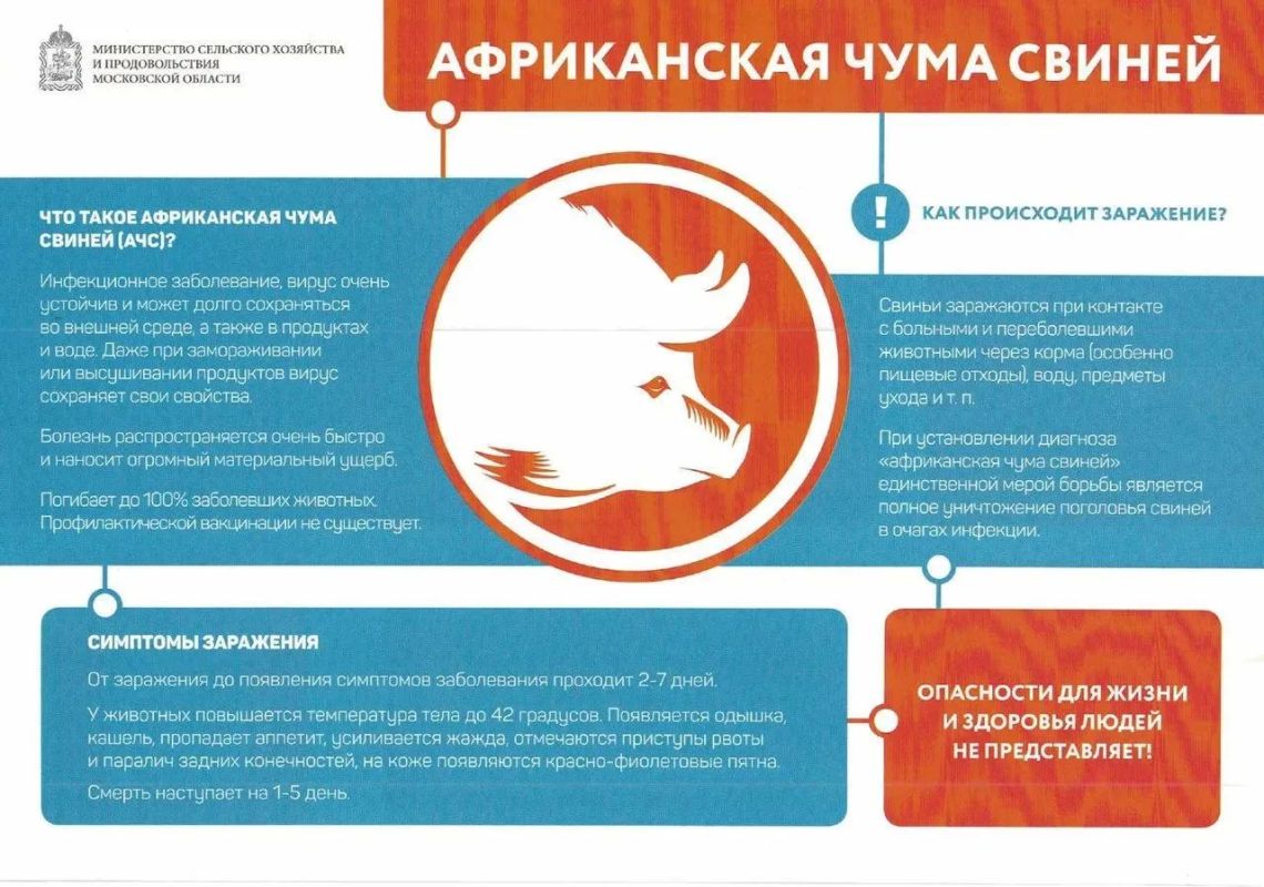 В Подмосковье стартовал месячник «Летний вепрь»