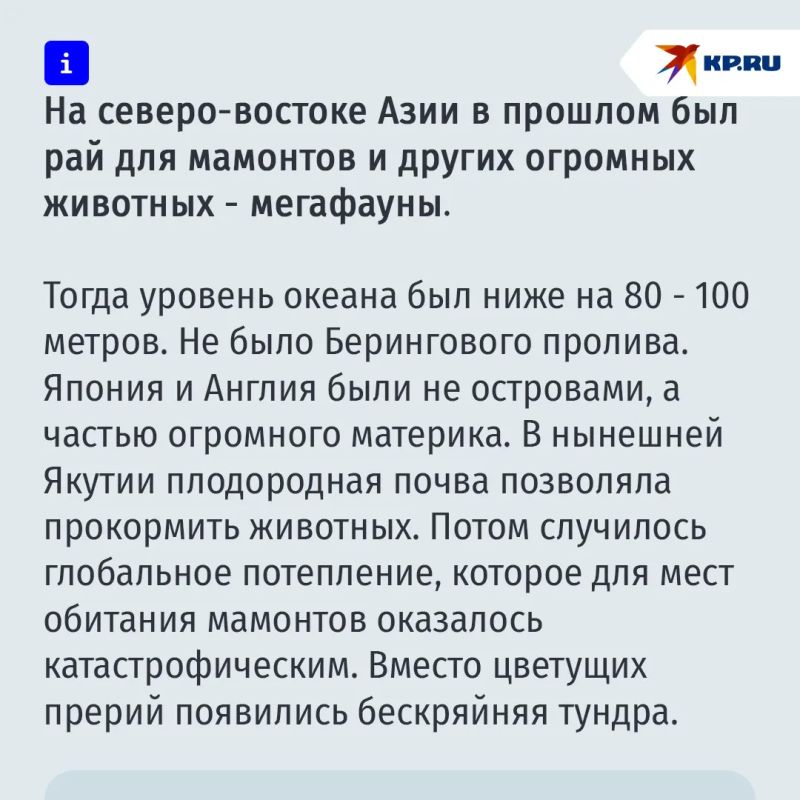 Когда мамонтов клонируют, они будут пастись на Колыме Когда мамонтов клонируют, они будут пастись на Колыме