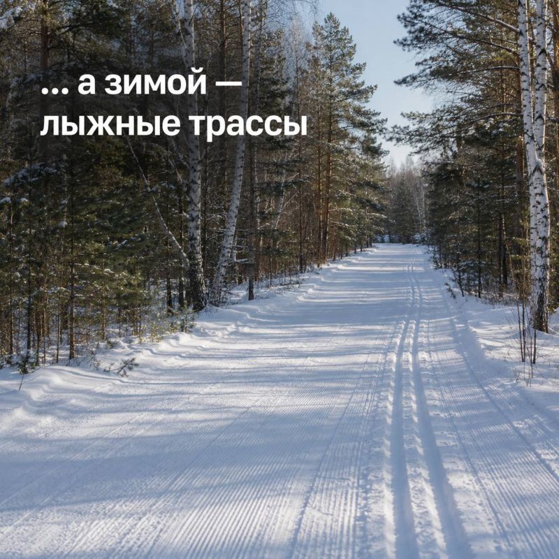 Когда мы запускали интерактивную карту Дмитровского округа, её главной задачей было помочь жителям быстро находить работающие автозаправочные станции Когда мы запускали интерактивную карту Дмитровского округа, её главной задачей было помочь жителям быстро находить работающие автозаправочные станции