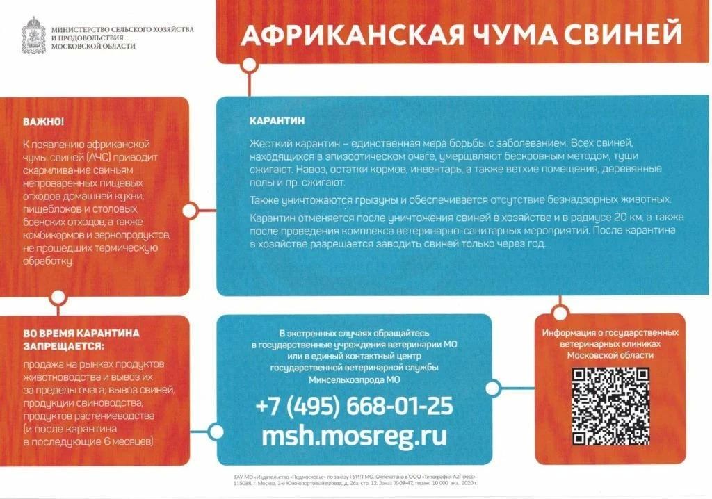 В Подмосковье стартовал месячник «Летний вепрь» В Подмосковье стартовал месячник «Летний вепрь»