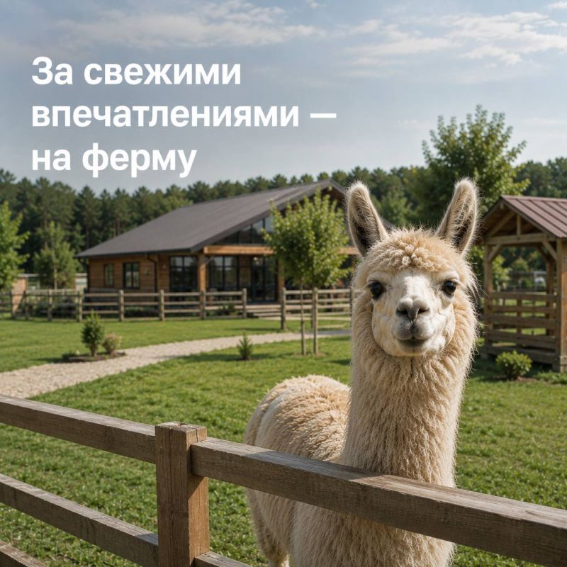 Когда мы запускали интерактивную карту Дмитровского округа, её главной задачей было помочь жителям быстро находить работающие автозаправочные станции Когда мы запускали интерактивную карту Дмитровского округа, её главной задачей было помочь жителям быстро находить работающие автозаправочные станции