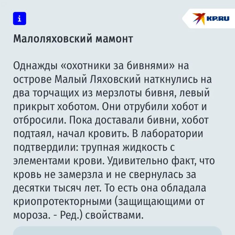 Когда мамонтов клонируют, они будут пастись на Колыме Когда мамонтов клонируют, они будут пастись на Колыме