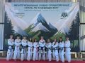 Люберецкие спортсмены представят страну на Кубке Европы по тхэквондо МФТ