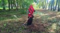 В Электростали завершилась очередная рабочая неделя для участников проекта «Трудовые отряды Главы»