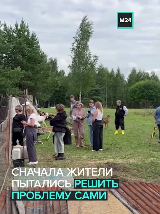 «Живут в аду»: жители подмосковной деревни Пашуково рассказали о животных, погибающих на заброшенной ферме