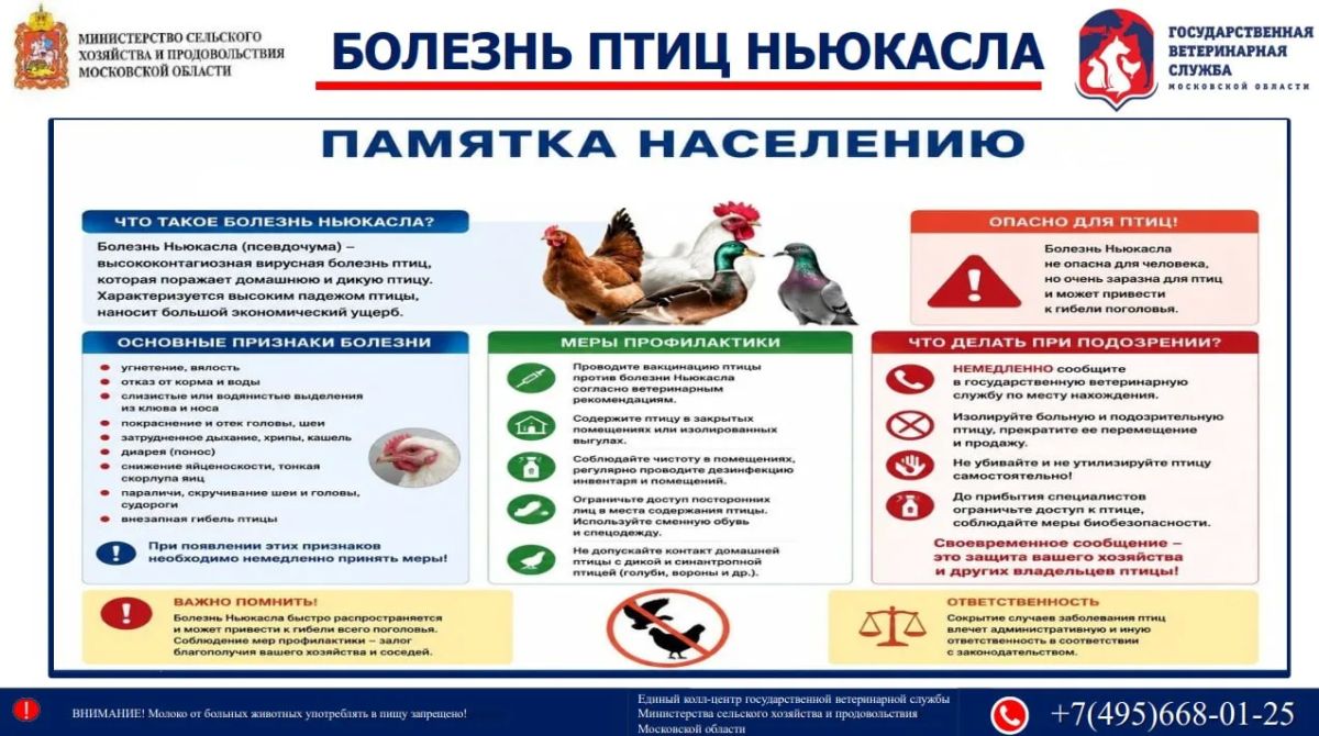 В Подмосковье стартовал месячник по защите птиц «СТОП ГРИПП»