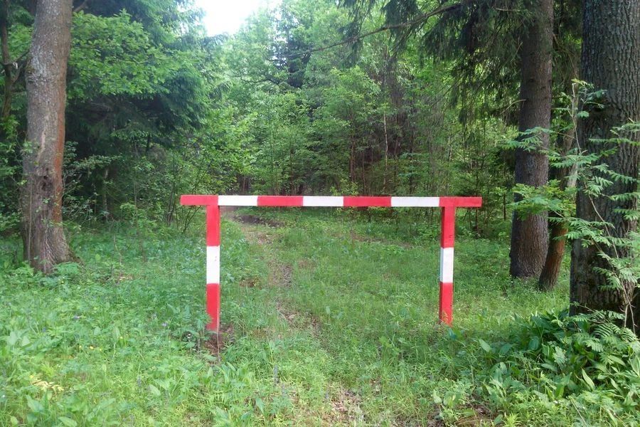 Лесничие планируют объём работ по обеспечению пожарной безопасности Лесничие планируют объём работ по обеспечению пожарной безопасности