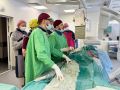 Единая Россия поддержала включение в программу ОМС 15 новых медицинских операций