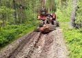 Противопожарный щит Подмосковья: Дмитровский филиал «Мособллес» завершил главный этап обустройства лесов