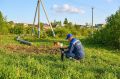 Газификация Подмосковья: ещё одна деревня подключена по губернаторской программе