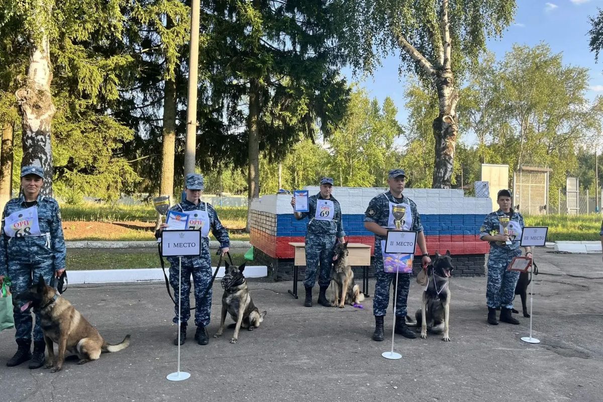 В ГУФСИН России по Московской области прошли соревнования по служебному многоборью среди специалистов-кинологов В ГУФСИН России по Московской области прошли соревнования по служебному многоборью среди специалистов-кинологов