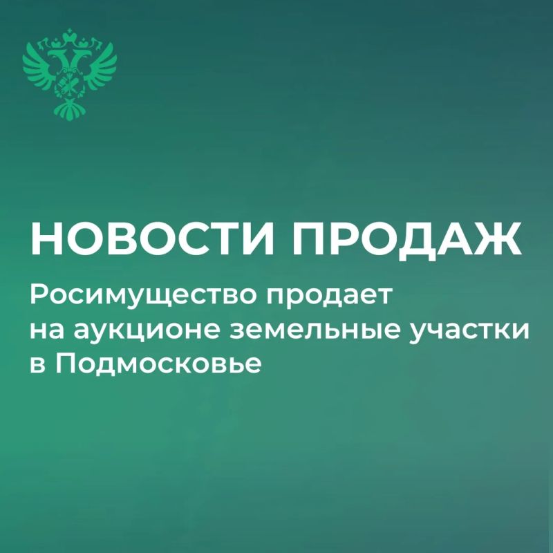 Росимущество продает на аукционе земельные участки в Подмосковье