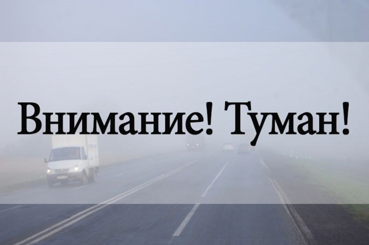 Осторожно туман!. Утром 07 августа в Московской области ожидается туман с видимостью
