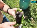 Кроты захватили земли Подмосковья
