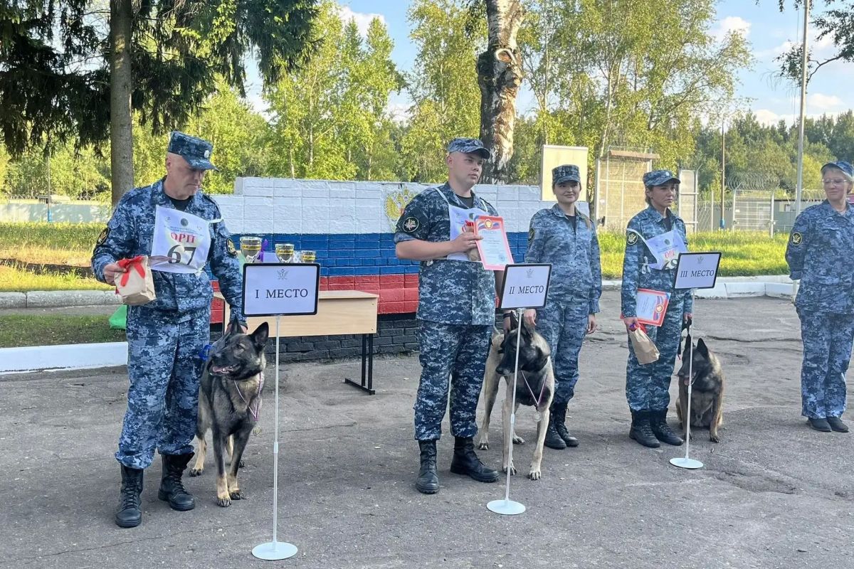 В ГУФСИН России по Московской области прошли соревнования по служебному многоборью среди специалистов-кинологов В ГУФСИН России по Московской области прошли соревнования по служебному многоборью среди специалистов-кинологов