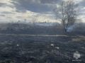 Сводка о палах травы в Московской области