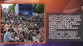 Татьяна Витушева: #дайджестдня. Чистая вода