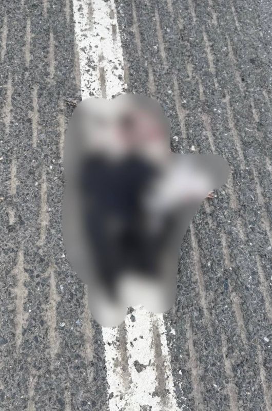 Байкер получил контузию после столкновения с вороной на скорости 270 км/ч в Подмосковье Байкер получил контузию после столкновения с вороной на скорости 270 км/ч в Подмосковье