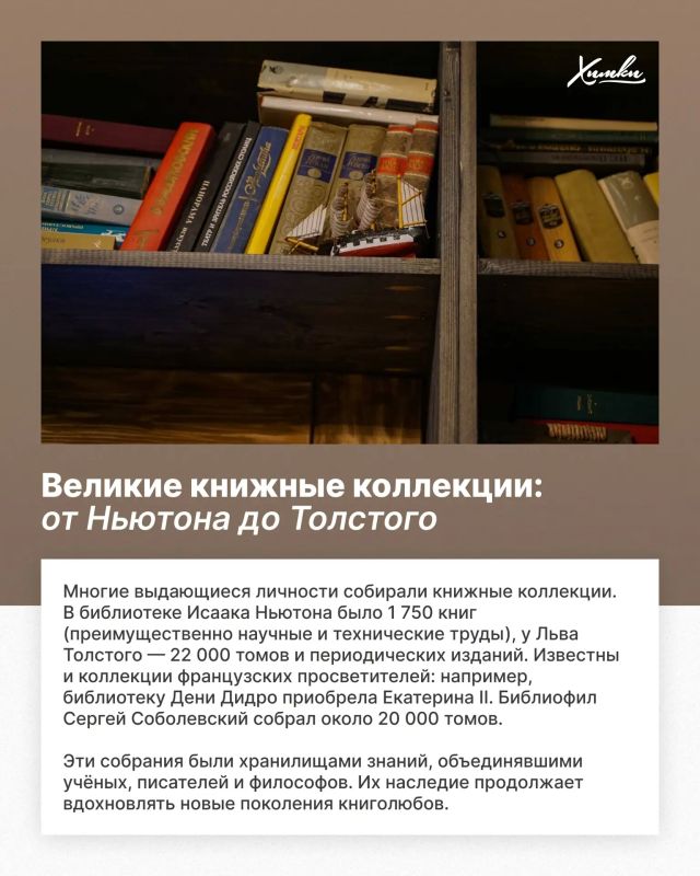 Книжная жизнь Химок: что читают, куда ходят и как меняется библиотека Книжная жизнь Химок: что читают, куда ходят и как меняется библиотека