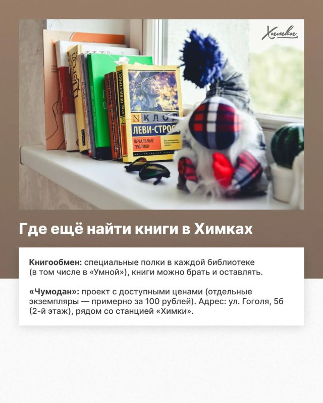 Книжная жизнь Химок: что читают, куда ходят и как меняется библиотека Книжная жизнь Химок: что читают, куда ходят и как меняется библиотека