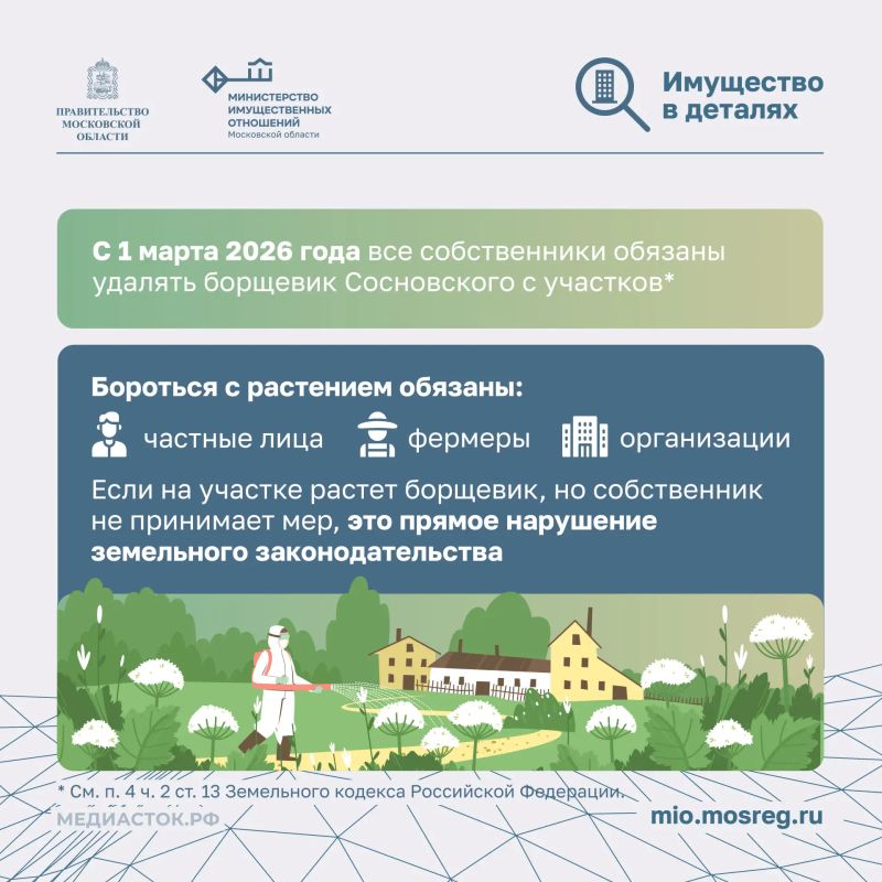 Почему собственники участков обязаны бороться с борщевиком? Почему собственники участков обязаны бороться с борщевиком?