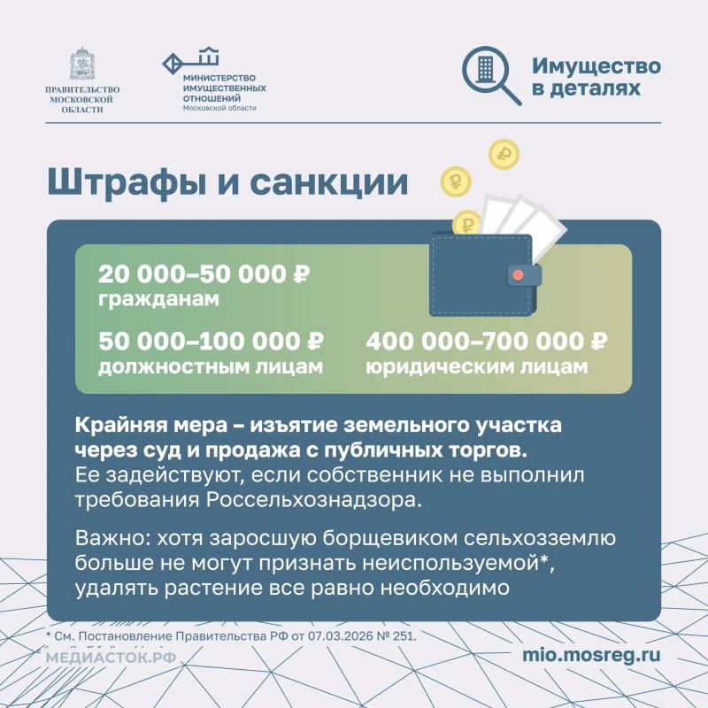 Почему собственники участков обязаны бороться с борщевиком? Почему собственники участков обязаны бороться с борщевиком?