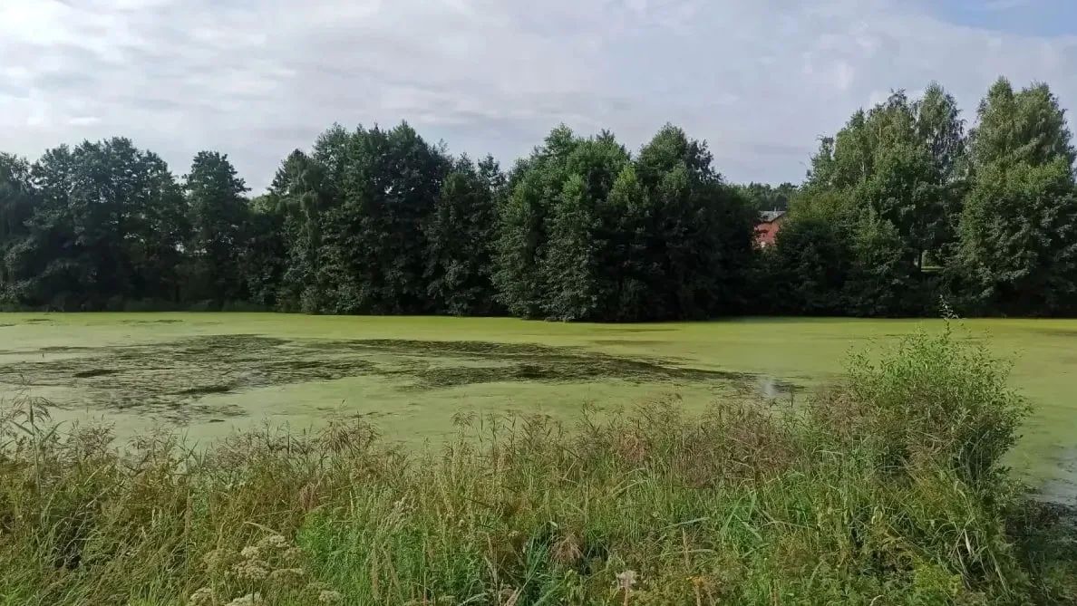 В городском округе Коломна дан старт работам на пруду в деревне Новосёлки В городском округе Коломна дан старт работам на пруду в деревне Новосёлки