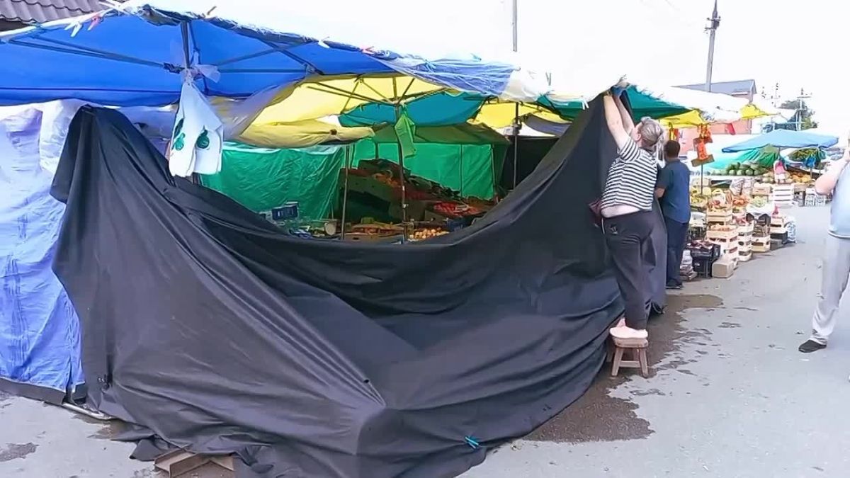Татьяна Витушева: В муниципальном округе Истра продолжается системная работа по пресечению несанкционированной торговли