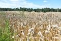 Встречаем понедельник с попутным ветром