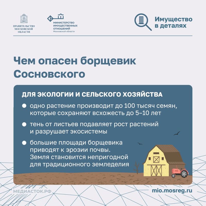 Почему собственники участков обязаны бороться с борщевиком? Почему собственники участков обязаны бороться с борщевиком?