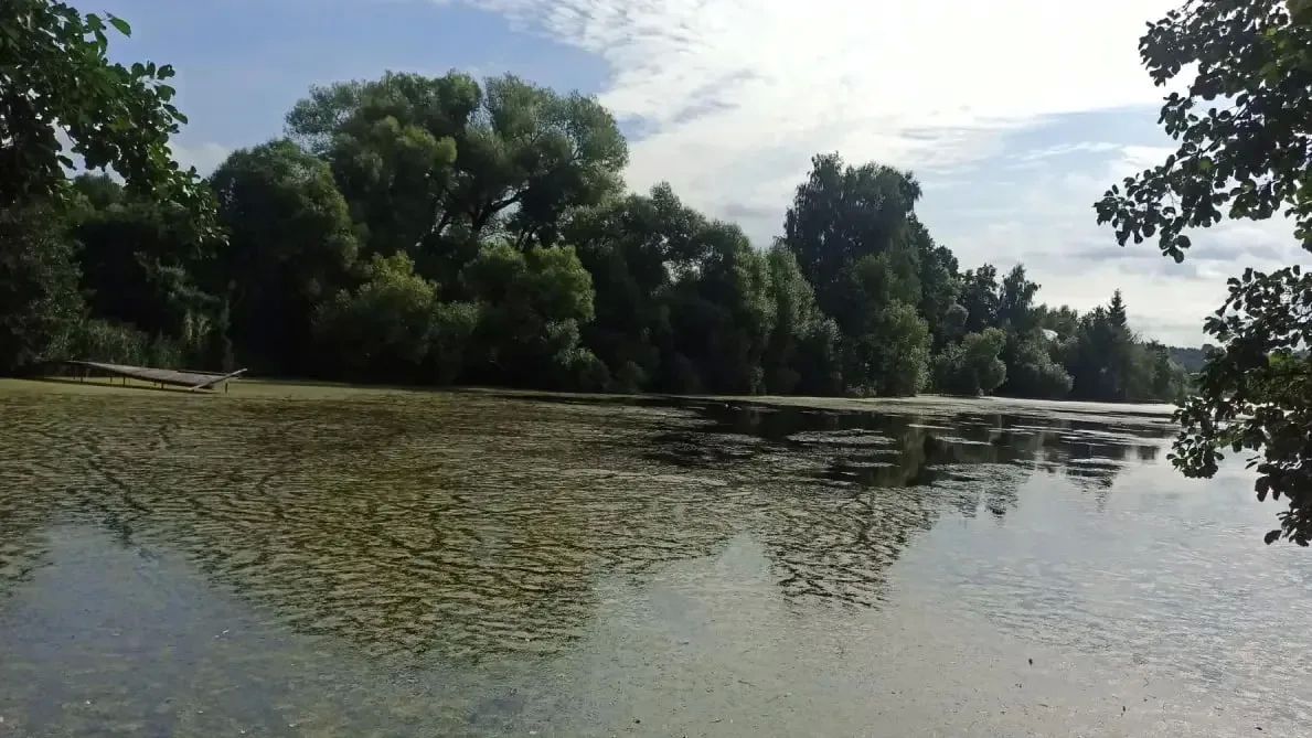 В городском округе Коломна дан старт работам на пруду в деревне Новосёлки В городском округе Коломна дан старт работам на пруду в деревне Новосёлки