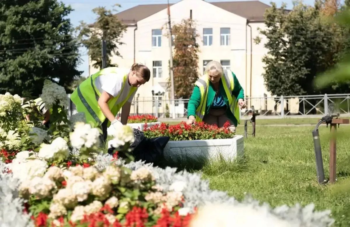 Татьяна Витушева: Августовская симфония красок! Татьяна Витушева: Августовская симфония красок!